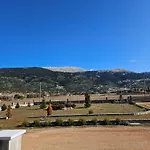 فيلة Kallisto